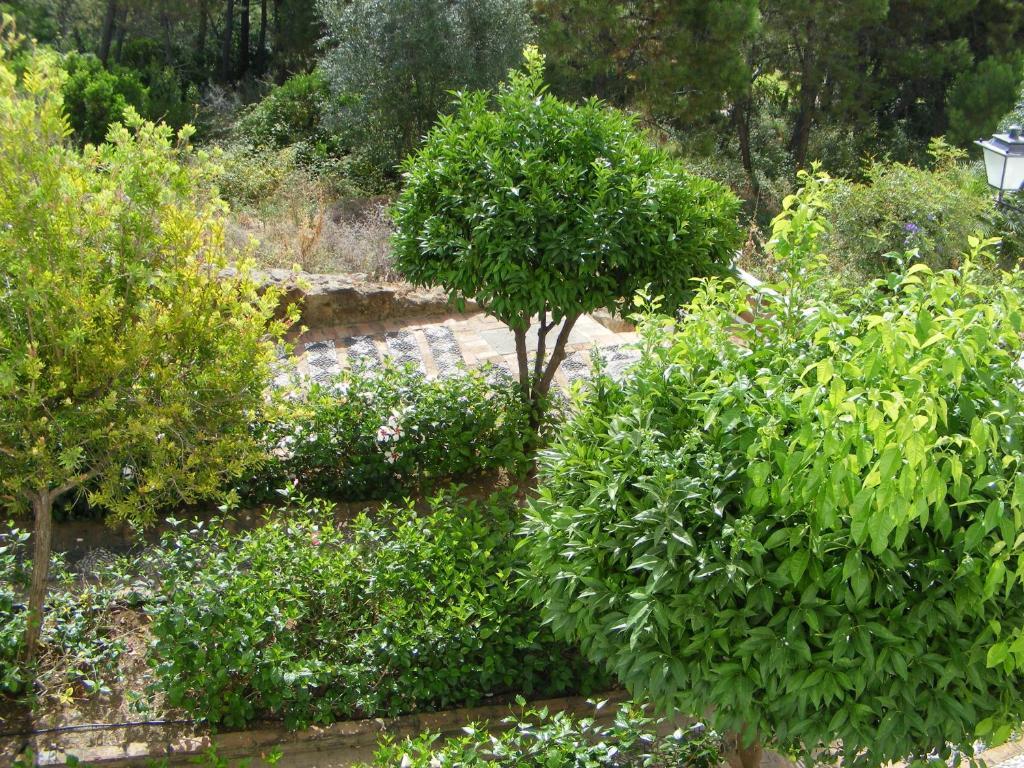 Naranjos Casa di campagna